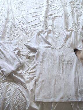 2 Pack Gap Women's White V-Neck Short Sleeve Sleep Tee - Classic Comfort